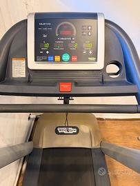 Palestra