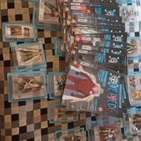 La collezione ufficiale di One Piece 