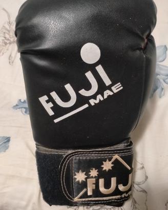 guantone da boxe professionale 
