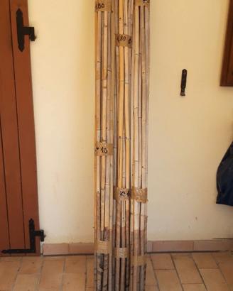 canne per coltivazioni