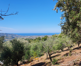 Terreno Edificabile nel Cilento vista mare