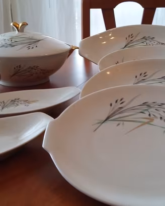 Servizio PIATTI Porcellana+TAZZE CAFFE' coordinato