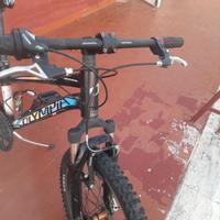 BICICLETTA COBRA
