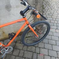 MTB 26 Bianchi Ragno Alpinestars 