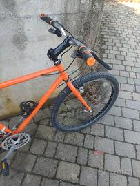 MTB 26 Bianchi Ragno Alpinestars 