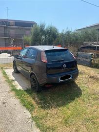 Fiat punto evo neopatentati