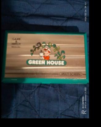 nintendo donkey kong e green house