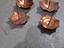 Immagine 1