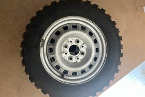 Gomme tacchettate Panda