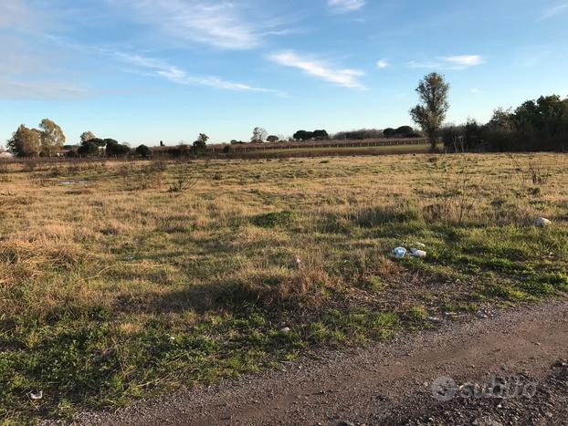 Terreno 3000 mq agricolo nettuno tre cancelli