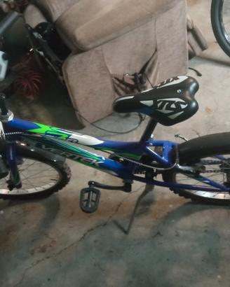 bicicletta 