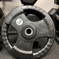 Dischi paestra 10 kg