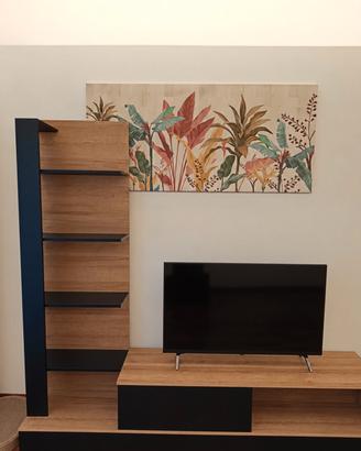 PARETE TV SOGGIORNO 
