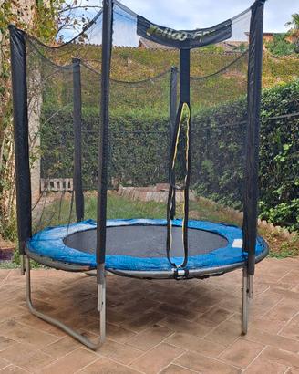 Il Trampolino elastico