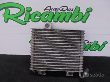 RADIATORE OLIO MOTORE TERRANO II R20 3.0 DiT 2002