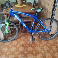 Bici Gfm  26