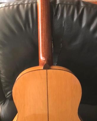 Chitarra Di Giorgio+Clavinova CLP 810S+4 Reflex