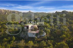 Magazzino Padru [Cod. rif 3244886VCG]