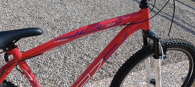 mountain-bike uomo