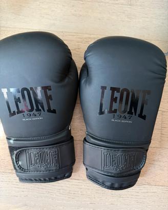 Guantoni da box Leone