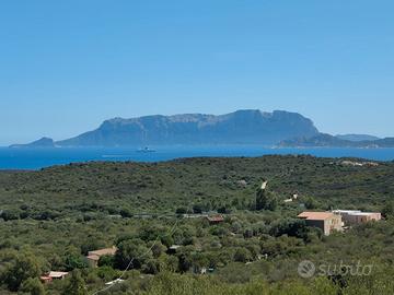 Vacanze Sardegna Olbia Suiles Bados Pittulongu