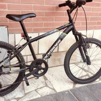 Mtb bambino