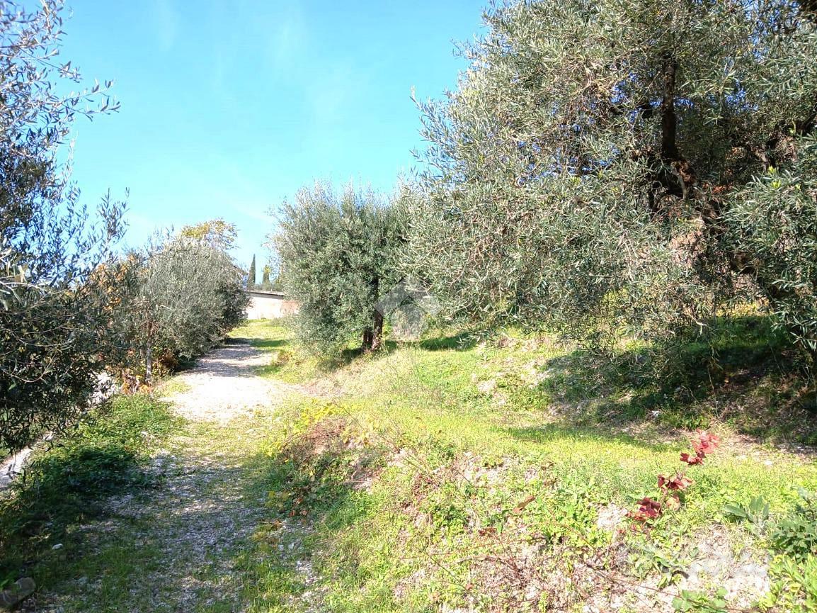 TER. RESIDENZIALE A GUBBIO - Vista 4