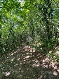 TER. AGRICOLO A CAPRINO VERONESE