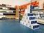 Immagine 6