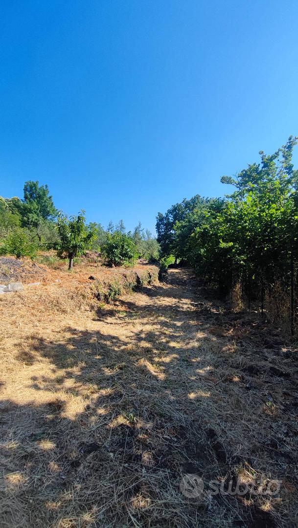Terreno agricolo - Sant'Alfio - Vista 2