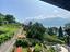 Immagine 8