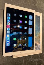 Ipad Pro 12.9 inch wi-fi+cellular 256GB