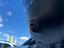 Immagine 24