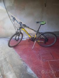 Bici ragazzo  24
