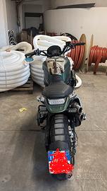 LEONCINO BENELLI 800trail