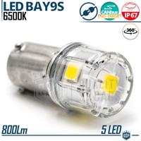 Lampadina LED BAY9S H21W Luce Bianca CANbus 6500K