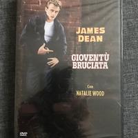 Gioventù bruciata DVD