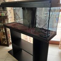 Acquario 100L + accessori
