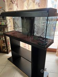Acquario 100L + accessori