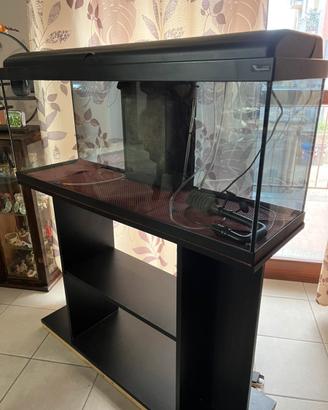 Acquario 100L + accessori