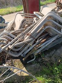 sala di mungitura per mucche 