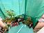 Immagine 26