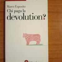 Chi paga la devolution