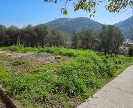 Terreno edificabile e urbanizzato