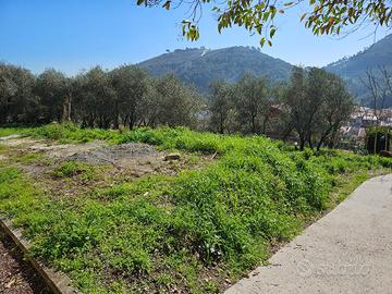 Terreno edificabile e urbanizzato