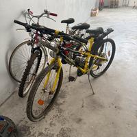 Biciclette vintage