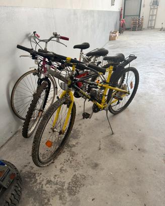 Biciclette vintage
