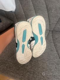 Mizuno morelia