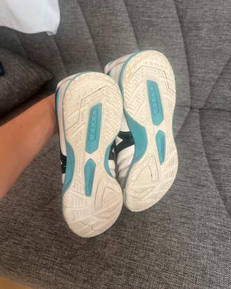 Mizuno morelia