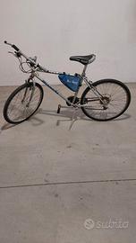 Bicicletta.